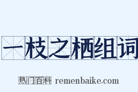一枝之栖组词是什么意思的图片